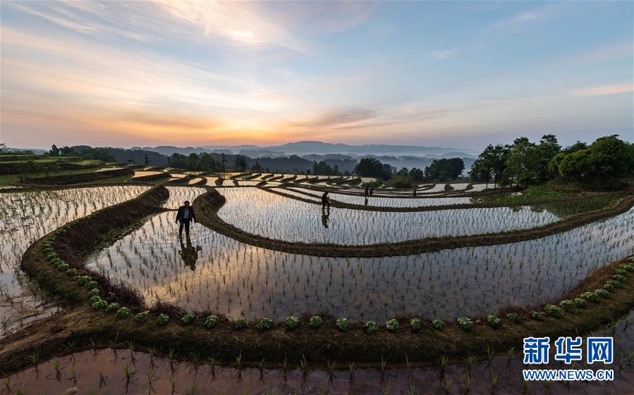 #（視&middot;覺(jué)）日出而作