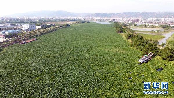 （圖文互動(dòng)）（1）&ldquo;白練&rdquo;變&ldquo;黑龍&rdquo;，江河變&ldquo;草原&rdquo;－－粵東母親河為何污染20多年難治理？