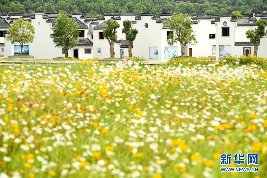 （新華全媒頭條&middot;搶救古民居&middot;圖文互動）（2）當古民居遇上城鎮(zhèn)化，如何留住鄉(xiāng)愁？