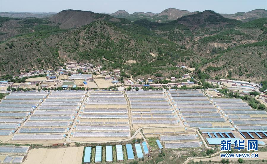 （壯闊東方潮 奮進(jìn)新時(shí)代&mdash;&mdash;慶祝改革開(kāi)放40年）（7）退耕還林20年 延安大地譜新篇