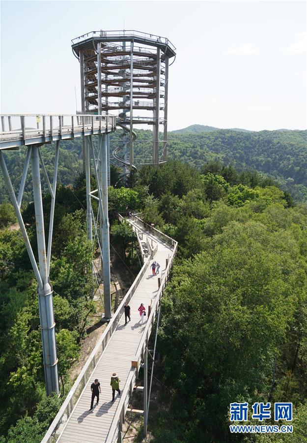 （壯闊東方潮 奮進(jìn)新時(shí)代&mdash;&mdash;慶祝改革開放40年）（14）退耕還林20年 延安大地譜新篇