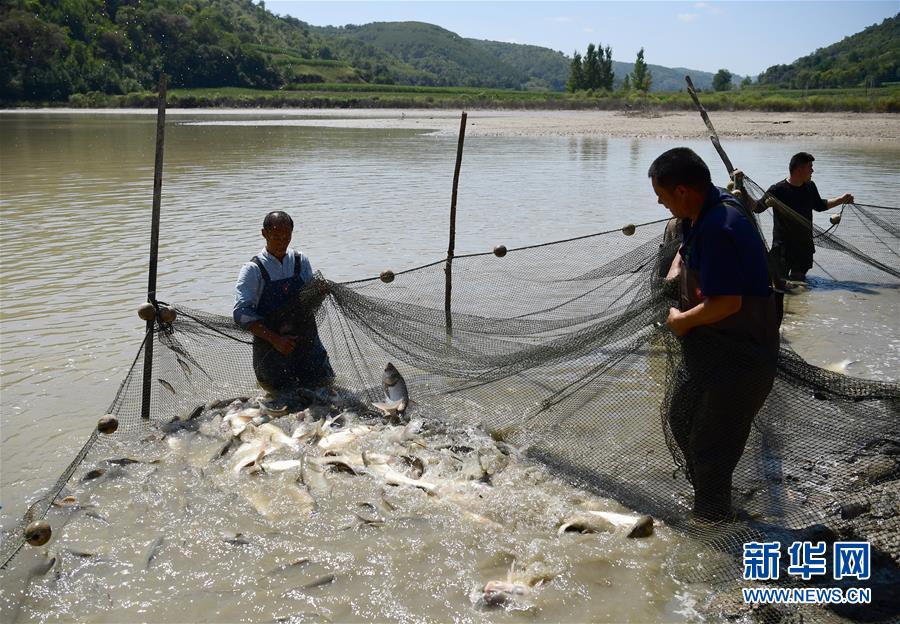 （壯闊東方潮 奮進(jìn)新時(shí)代&mdash;&mdash;慶祝改革開放40年）（15）退耕還林20年 延安大地譜新篇