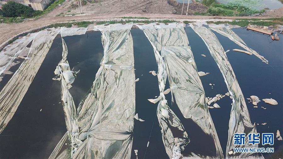 （新華視點(diǎn)&middot;圖文互動(dòng)）（4）中央督察兩年有的絲毫未改，有的不減反增&mdash;&mdash;江蘇泰興數(shù)萬(wàn)噸化工廢料和污泥堆放長(zhǎng)江邊調(diào)查