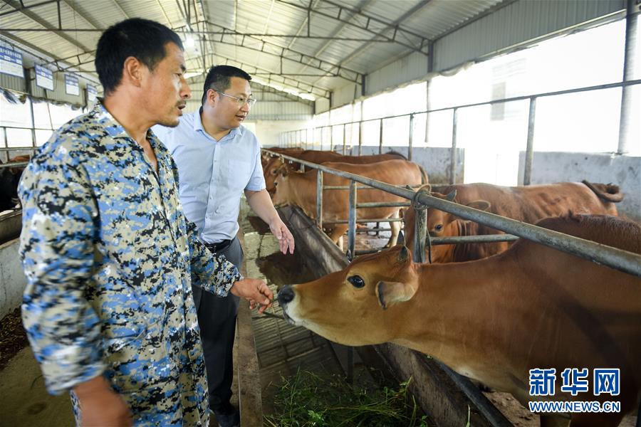 （脫貧攻堅&middot;圖文互動）（2）&ldquo;不畏難、不畏煩、不畏苦&rdquo;&mdash;&mdash;記&ldquo;80后&rdquo;扶貧干部李朝陽