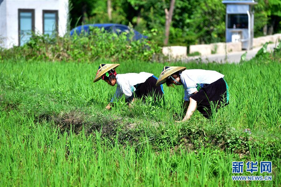 （社會）（2）苗山脫貧影像志&mdash;&mdash;把苗寨搬進(jìn)景區(qū) 讓貧困戶住進(jìn)城里