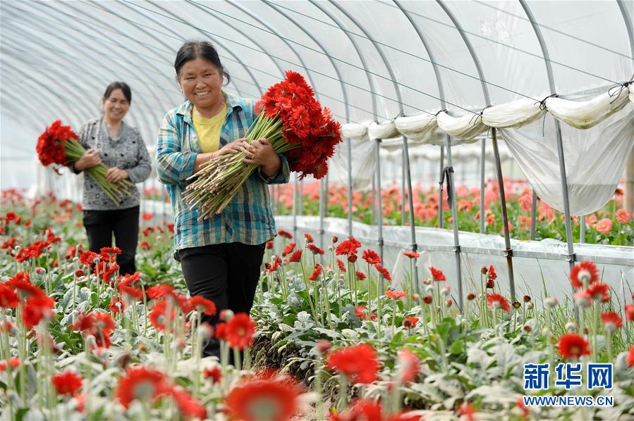(大江奔流——來自長江經(jīng)濟(jì)帶的報(bào)道·新華全媒頭條·圖文互動(dòng))(3)擘畫新時(shí)代中國發(fā)展新坐標(biāo)——深入推動(dòng)長江經(jīng)濟(jì)帶發(fā)展述評