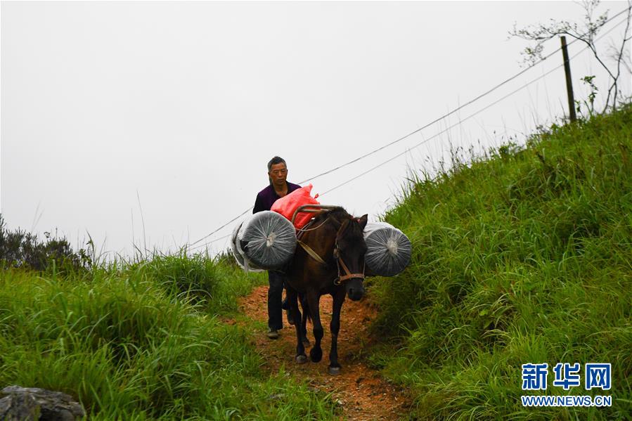 （新華全媒頭條&middot;圖文互動）（4）一個人，一座山&mdash;&mdash;劉真茂的生命守望