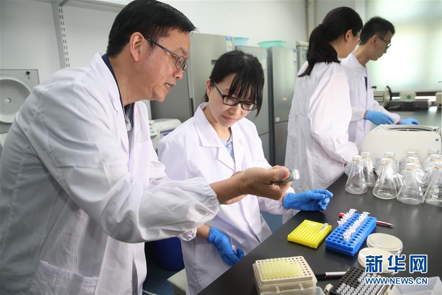 （新華全媒頭條&middot;圖文互動）（1）人造單條染色體真核細(xì)胞問世　我國開啟合成生物學(xué)研究新時代