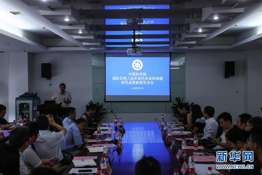 （新華全媒頭條&middot;圖文互動(dòng)）（6）人造單條染色體真核細(xì)胞問世　我國開啟合成生物學(xué)研究新時(shí)代