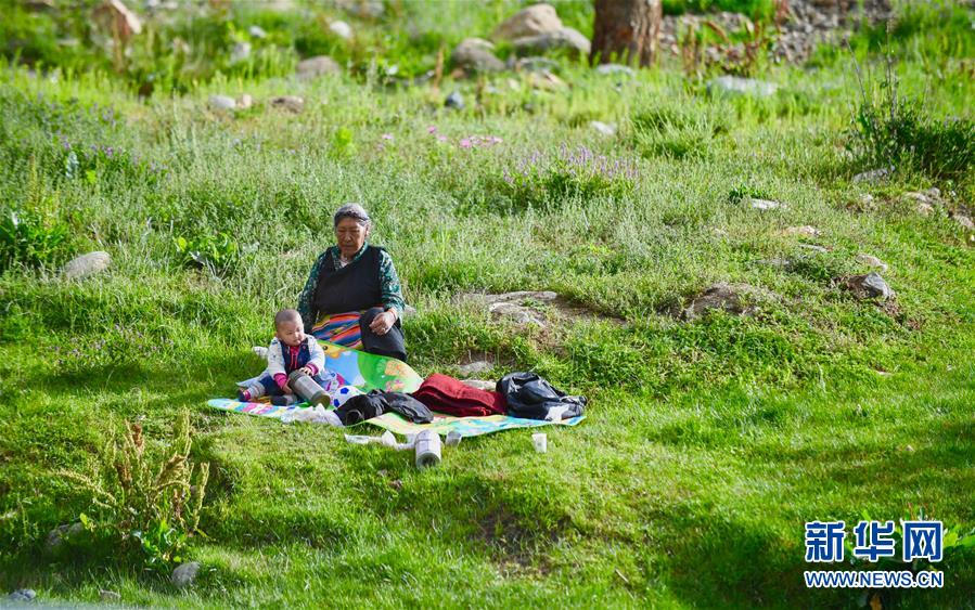 （社會(huì)）（3）夏日&ldquo;過林卡&rdquo; 親近大自然