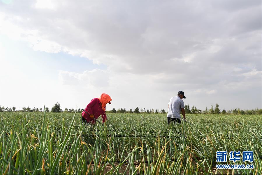 （新華全媒頭條&middot;在習(xí)近平新時(shí)代中國(guó)特色社會(huì)主義思想指引下&mdash;&mdash;新時(shí)代新作為新篇章&middot;圖文互動(dòng)）（3）綠富同興畫卷在沙海中鋪展&mdash;&mdash;庫布其沙漠生態(tài)治理紀(jì)實(shí)