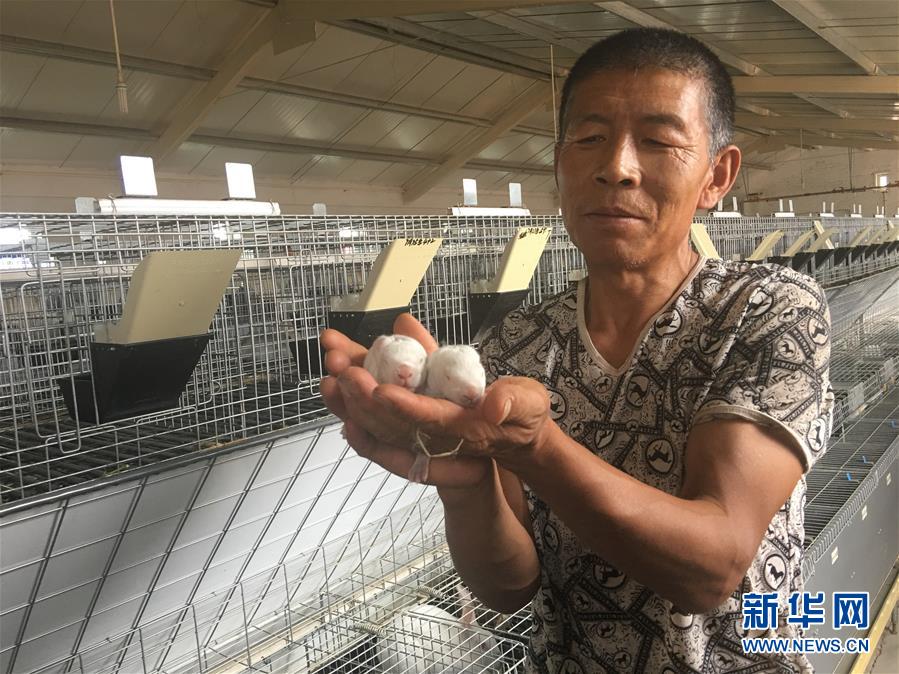 （新華全媒頭條&middot;在習(xí)近平新時(shí)代中國(guó)特色社會(huì)主義思想指引下&mdash;&mdash;新時(shí)代新作為新篇章&middot;圖文互動(dòng)）（10）綠富同興畫卷在沙海中鋪展&mdash;&mdash;庫布其沙漠生態(tài)治理紀(jì)實(shí)