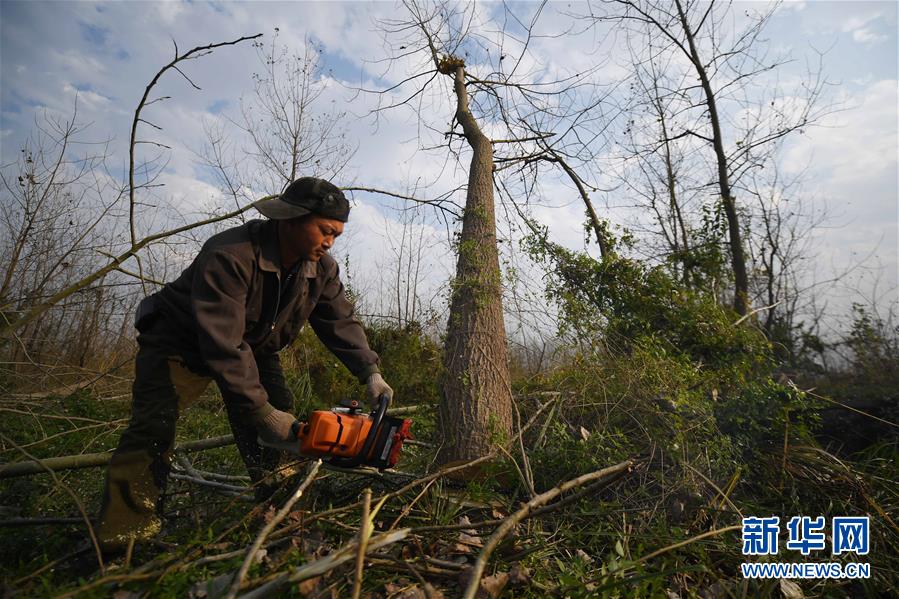 （大江奔流&mdash;&mdash;來自長江經(jīng)濟帶的報道&middot;新華全媒頭條&middot;圖文互動）（6）打造經(jīng)濟高質(zhì)量發(fā)展的強勁引擎&mdash;&mdash;深入推動長江經(jīng)濟帶發(fā)展述評