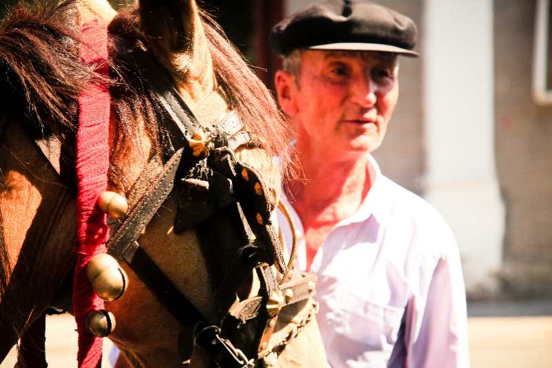【新時(shí)代幸福美麗新邊疆】去伊犁喀贊其拜訪(fǎng)“生活在宮殿里的老百姓”