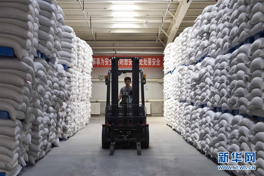 （新華全媒頭條&middot;圖文互動）（6）去新疆！穿越古今絲綢之路