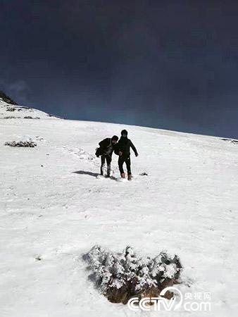 下雪天巡護(hù)也是常有的事。