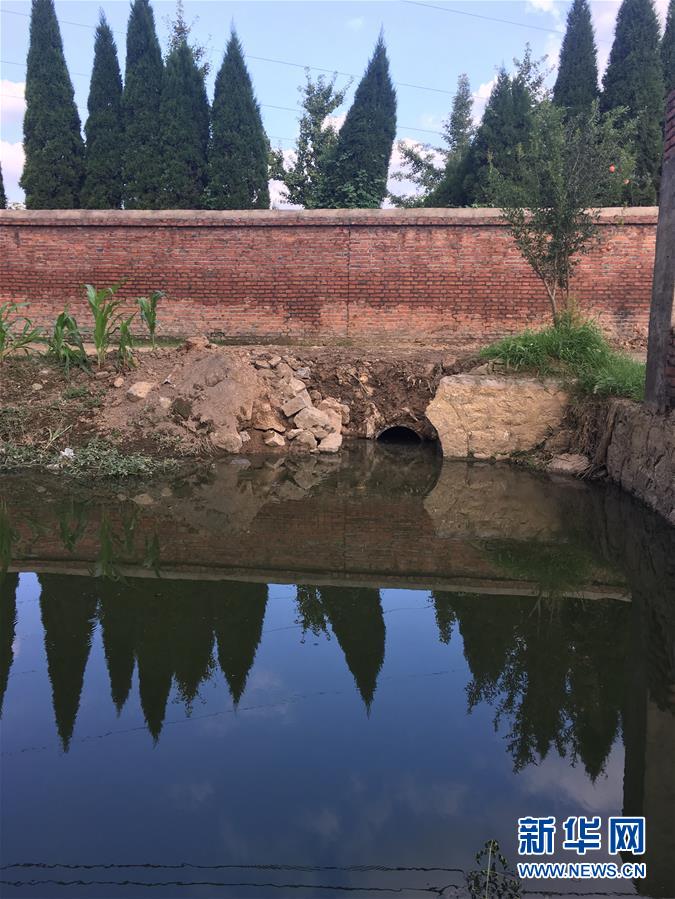 （新華視點&middot;圖文互動）（3）上游洪水來襲下游魚蟹死亡，泄洪為何變泄污？