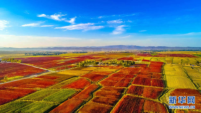 秋收的中國(guó)，你想象不到的美！但更美的是&hellip;&hellip;