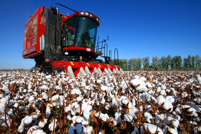 秋收的中國(guó)，你想象不到的美！但更美的是&hellip;&hellip;