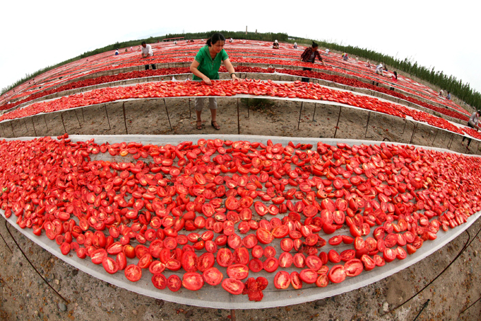 秋收的中國(guó)，你想象不到的美！但更美的是&hellip;&hellip;