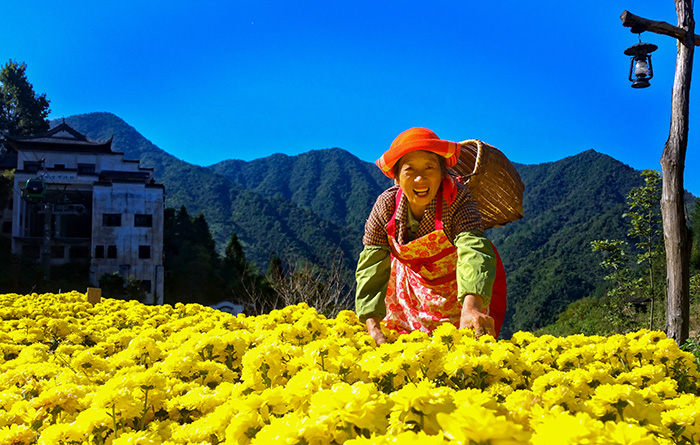 秋收的中國(guó)，你想象不到的美！但更美的是&hellip;&hellip;