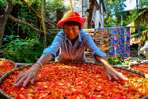 秋收的中國(guó)，你想象不到的美！但更美的是&hellip;&hellip;