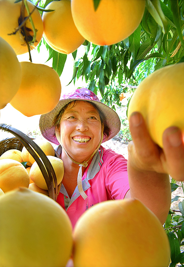 秋收的中國(guó)，你想象不到的美！但更美的是&hellip;&hellip;
