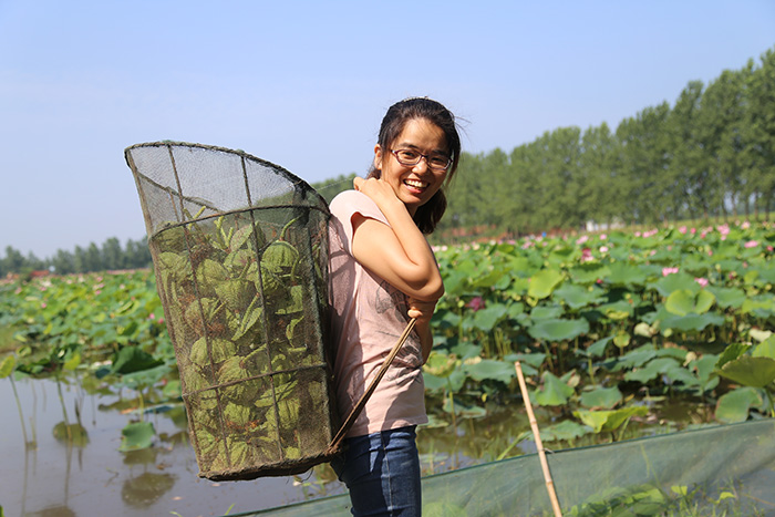 秋收的中國(guó)，你想象不到的美！但更美的是&hellip;&hellip;