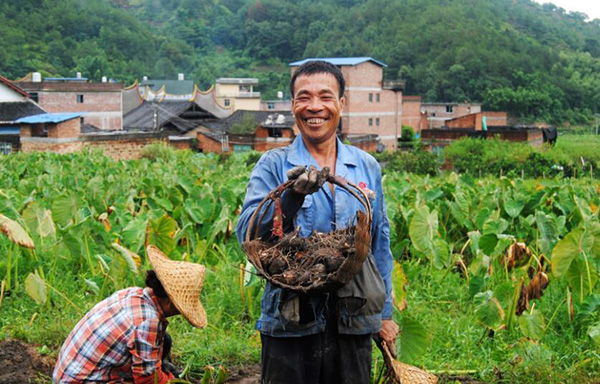 秋收的中國(guó)，你想象不到的美！但更美的是&hellip;&hellip;