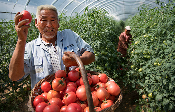 秋收的中國(guó)，你想象不到的美！但更美的是&hellip;&hellip;