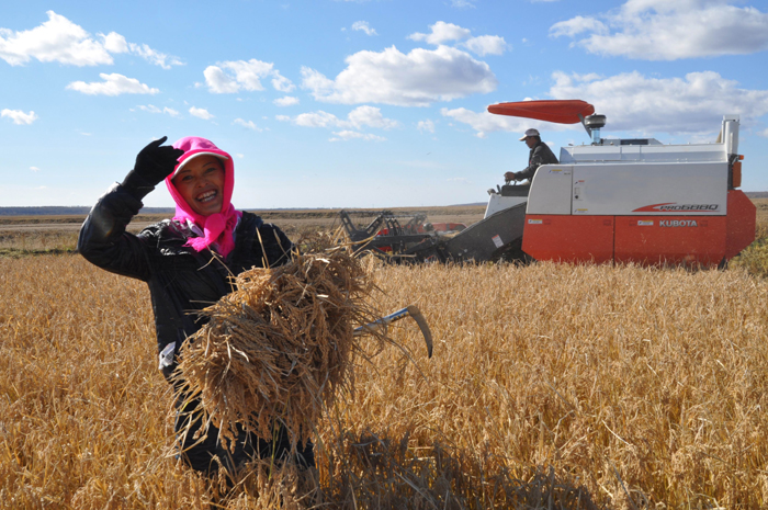 秋收的中國(guó)，你想象不到的美！但更美的是&hellip;&hellip;
