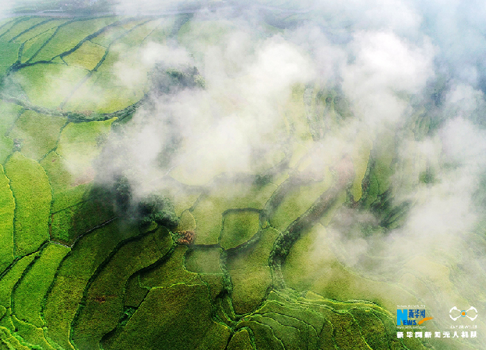 秋收的中國(guó)，你想象不到的美！但更美的是&hellip;&hellip;