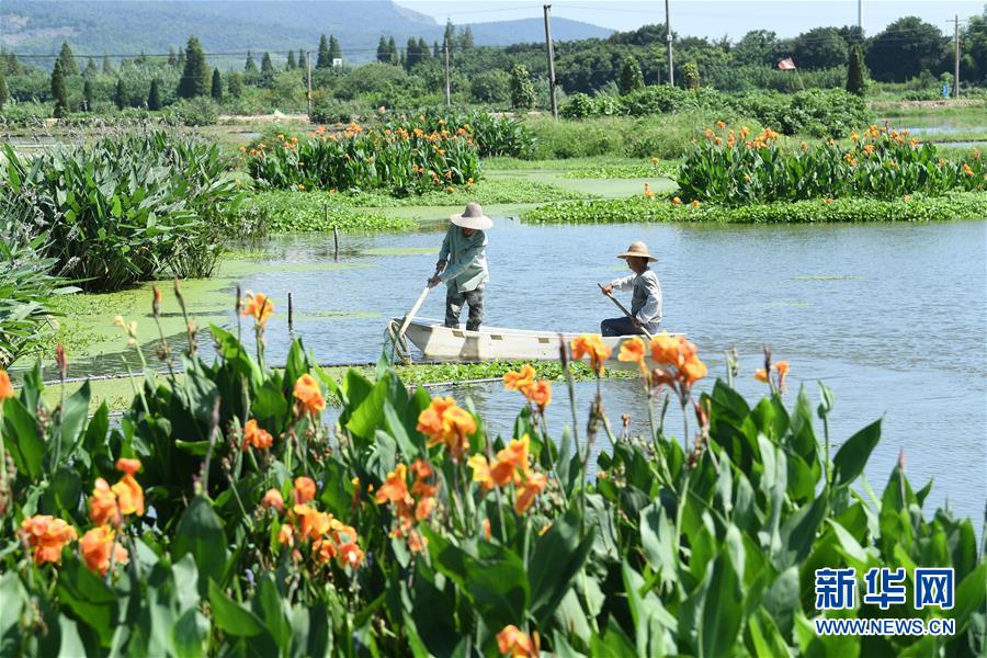 （新華全媒頭條&middot;聚焦鄉(xiāng)村振興戰(zhàn)略規(guī)劃&middot;圖文互動(dòng)）（14）推進(jìn)鄉(xiāng)村振興的行動(dòng)指南&mdash;&mdash;解讀鄉(xiāng)村振興戰(zhàn)略首個(gè)五年規(guī)劃亮點(diǎn)