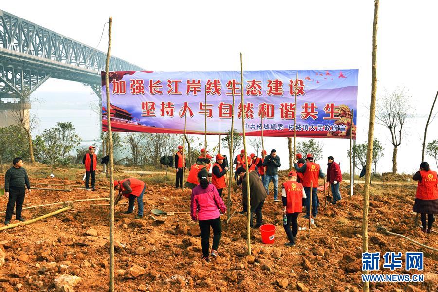 （在習(xí)近平新時(shí)代中國特色社會(huì)主義思想指引下&mdash;&mdash;新時(shí)代新作為新篇章&middot;圖文互動(dòng)）（2）湖北枝城鎮(zhèn)：片區(qū)黨建助推鄉(xiāng)村全面振興