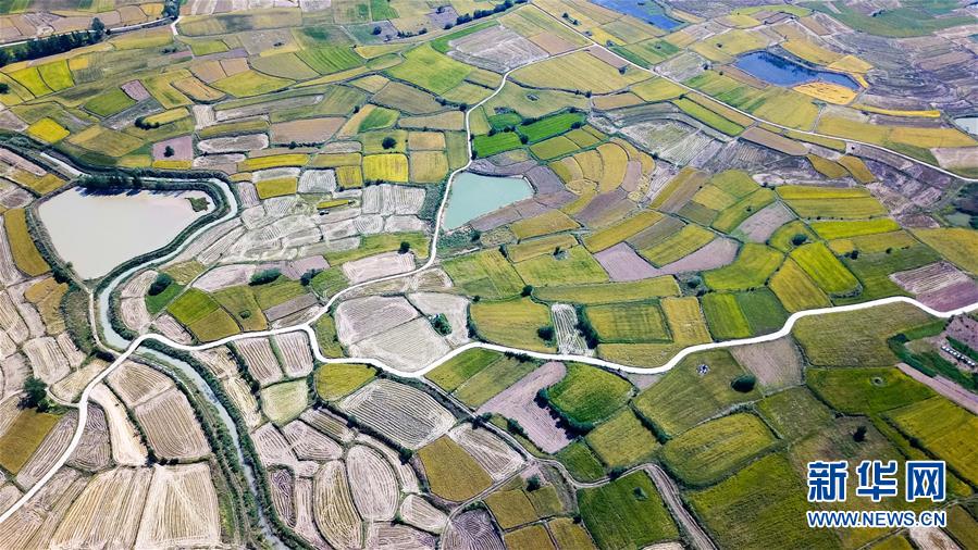 （壯闊東方潮　奮進(jìn)新時代&mdash;&mdash;慶祝改革開放40年&middot;圖文互動）（1）&ldquo;人民的期盼就是改革的動力&rdquo;&mdash;&mdash;&ldquo;大包干&rdquo;帶頭人寄語改革