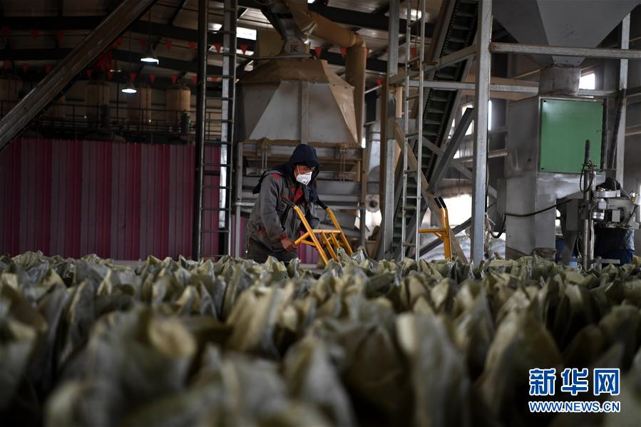 （在習(xí)近平新時代中國特色社會主義思想指引下&mdash;&mdash;新時代新氣象新作為&middot;鄉(xiāng)村振興戰(zhàn)略&middot;圖文互動）（1）&ldquo;與其放火，不如打包&rdquo;&mdash;&mdash;山西渾源秸稈綜合再利用見聞