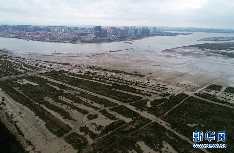 （新華視點(diǎn)&middot;圖文互動(dòng)）（1）福建10名黨員干部被問(wèn)責(zé)的背后：7部門(mén)十余次執(zhí)法未能有效制止泉州灣濕地圍墾行為