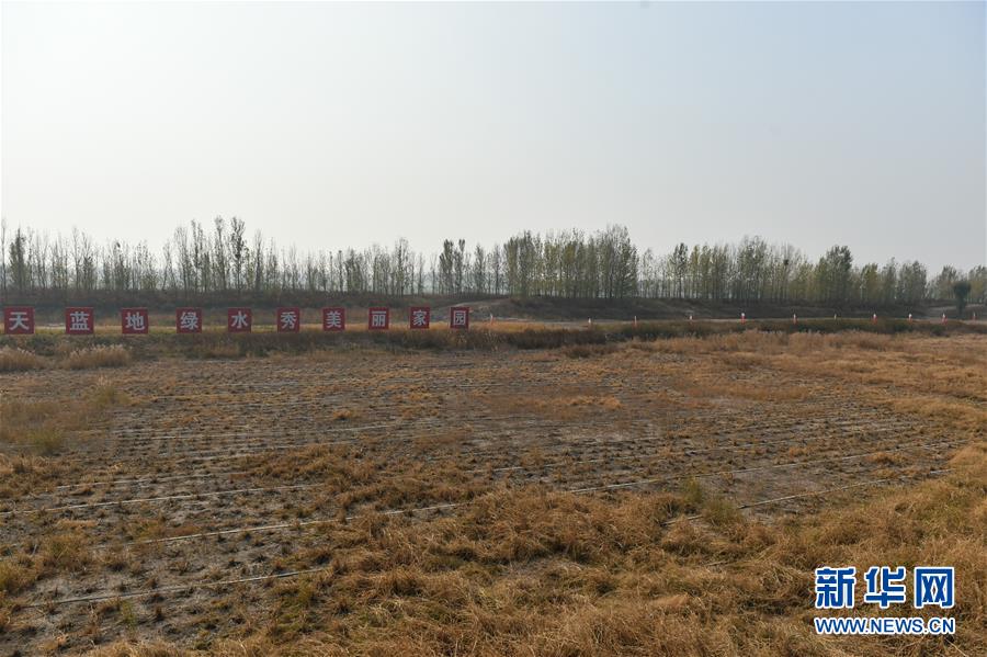 （在習(xí)近平新時代中國特色社會主義思想指引下&middot;慶祝改革開放40周年&middot;綠色發(fā)展）（新華全媒頭條&middot;圖文互動）（6）綠色發(fā)展：書寫在中國大地上的美麗畫卷