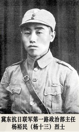 （為了民族復(fù)興&middot;英雄烈士譜&middot;圖文互動(dòng)）抗日愛國(guó)知識(shí)分子的典范&mdash;&mdash;楊裕民