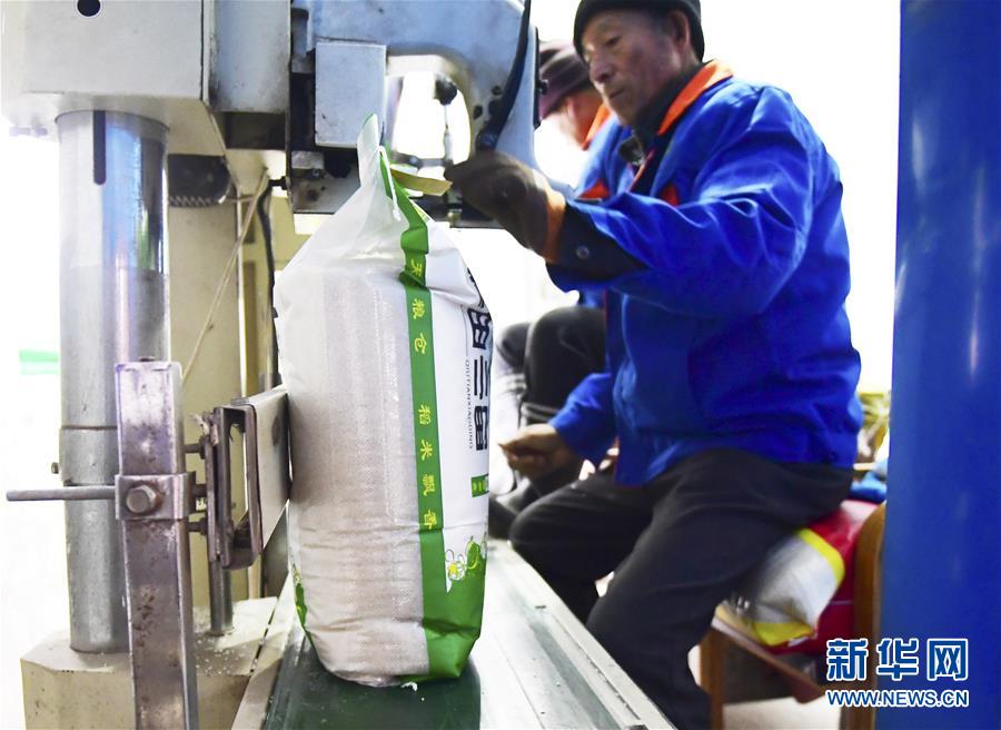 （在習(xí)近平新時代中國特色社會主義思想指引下&mdash;&mdash;新時代新作為新篇章&middot;鄉(xiāng)村振興戰(zhàn)略&middot;圖文互動）（3）吉林榆樹：產(chǎn)糧&ldquo;冠軍縣&rdquo;大旱之年從容應(yīng)對減產(chǎn)考驗(yàn)