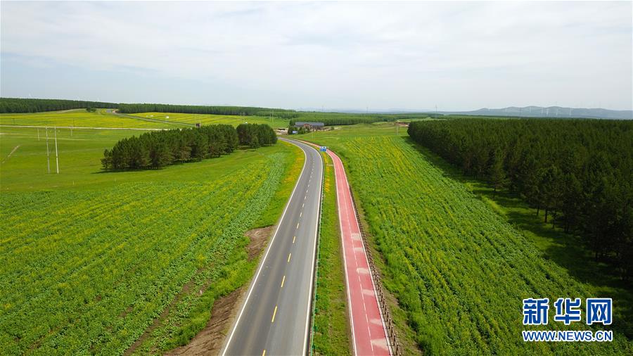 （新華全媒頭條&middot;圖文互動(dòng)）（4）那一抹綠色，走進(jìn)越來(lái)越多人心里&mdash;&mdash;河北塞罕壩續(xù)寫新時(shí)代綠色傳奇