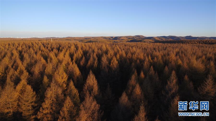 （新華全媒頭條&middot;圖文互動(dòng)）（6）那一抹綠色，走進(jìn)越來(lái)越多人心里&mdash;&mdash;河北塞罕壩續(xù)寫新時(shí)代綠色傳奇