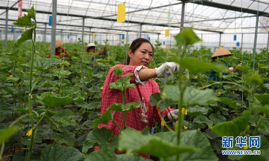 （新華全媒頭條&middot;圖文互動(dòng)）（11）心中有夢想，腳下就有力量&mdash;&mdash;寫在&ldquo;中國夢&rdquo;提出六周年之際