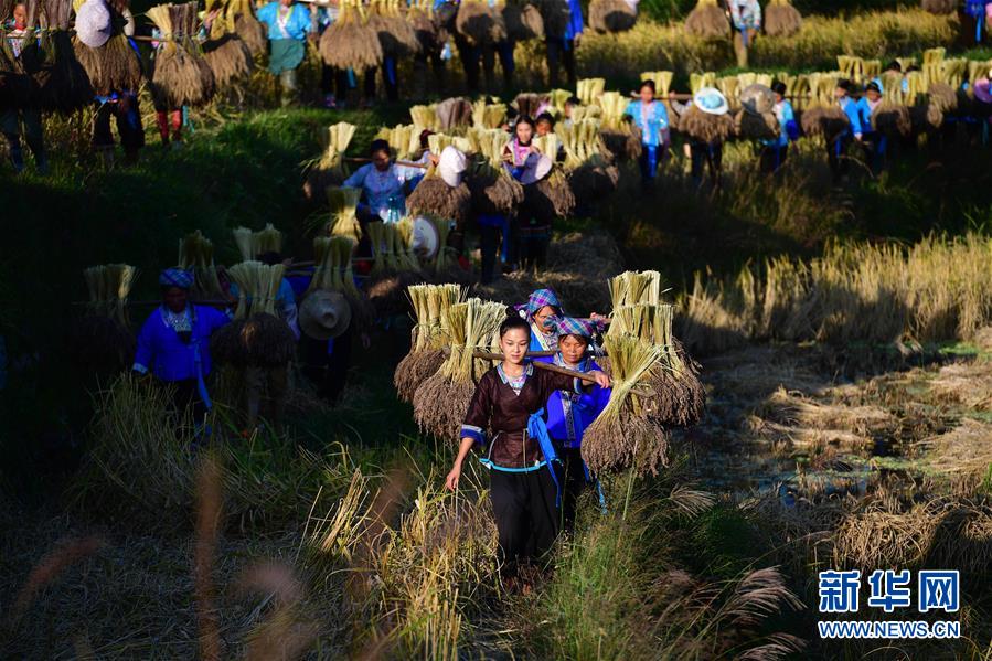 (輝煌60年·壯美新廣西·圖文互動(dòng))(6)攜手描繪八桂大地上的美麗畫卷——寫在廣西壯族自治區(qū)成立60周年之際