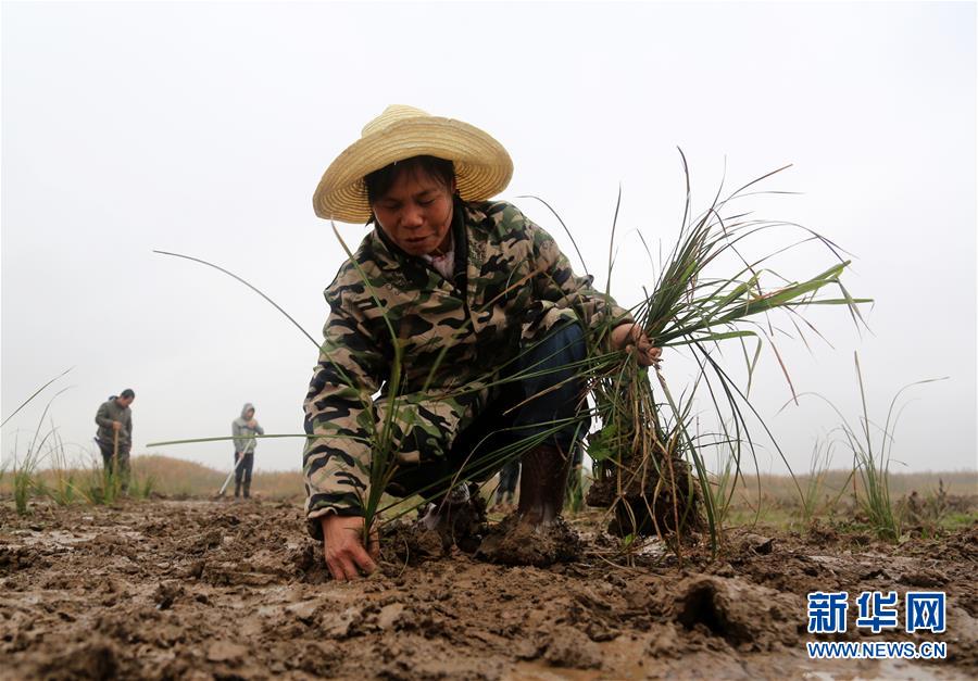 （新華視點&middot;回望2018&middot;圖文互動）（3）2018年新華社曝光多起破壞生態(tài)事件，記者年底追訪發(fā)現(xiàn)&hellip;&hellip;