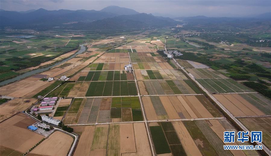 (百城百縣百企調(diào)研行·圖文互動(dòng))(1)海南農(nóng)墾:農(nóng)業(yè)“國(guó)家隊(duì)”打贏改革“翻身仗”