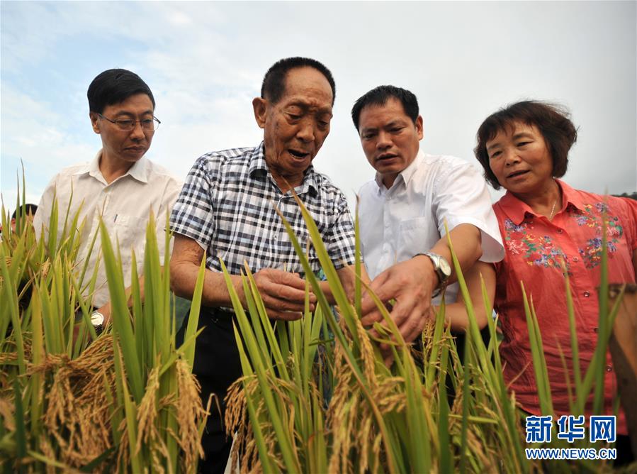 (新華全媒頭條·圖文互動(dòng))(14)在時(shí)代大潮中書寫時(shí)代傳奇——致敬百名改革先鋒