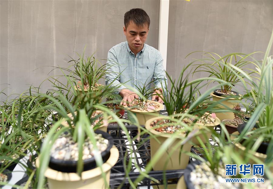 (圖文互動)(6)建設(shè)好生態(tài)宜居的美麗鄉(xiāng)村——從“千萬工程”看習近平生態(tài)文明思想的生動實踐和世界回響