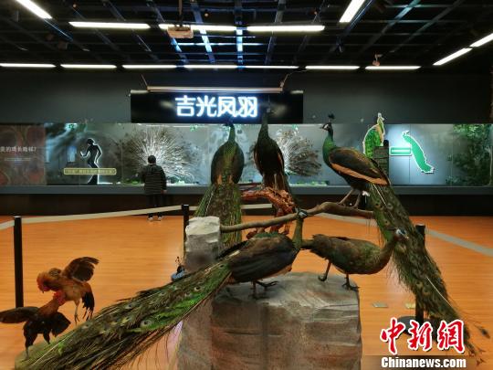 先有雞還是先有蛋？這個科普展覽有點&ldquo;不一般&rdquo;