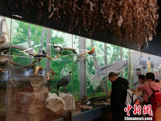 圖為展覽現場?！『h航 攝